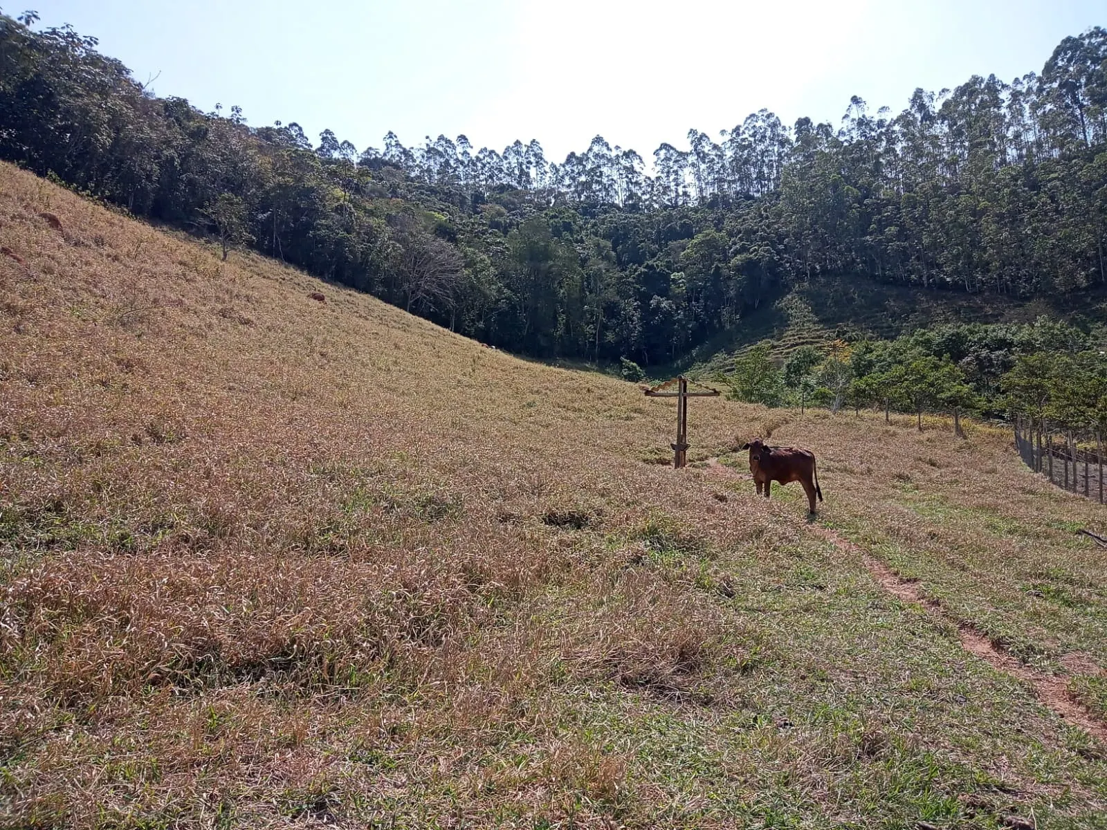 Sítio à venda de 10 ha em Paraibuna, SP, Brasil