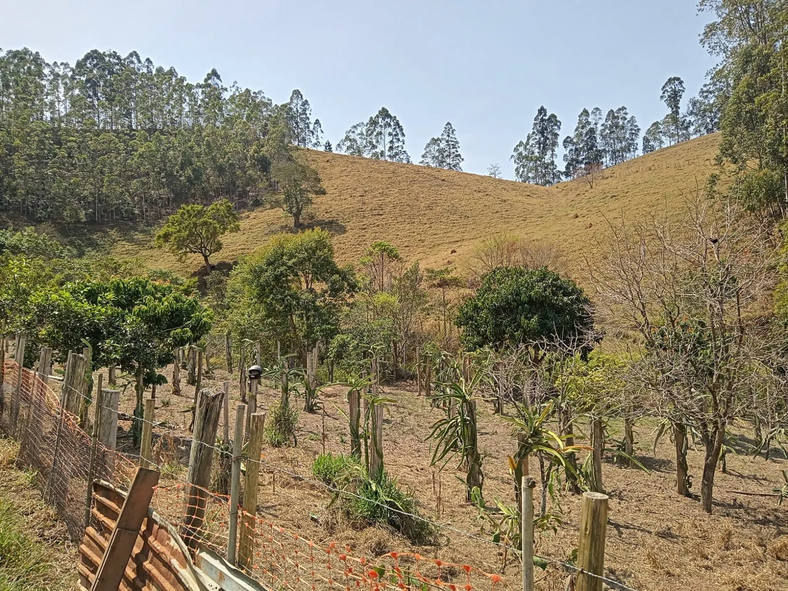 Sítio à venda de 10 ha em Paraibuna, SP, Brasil
