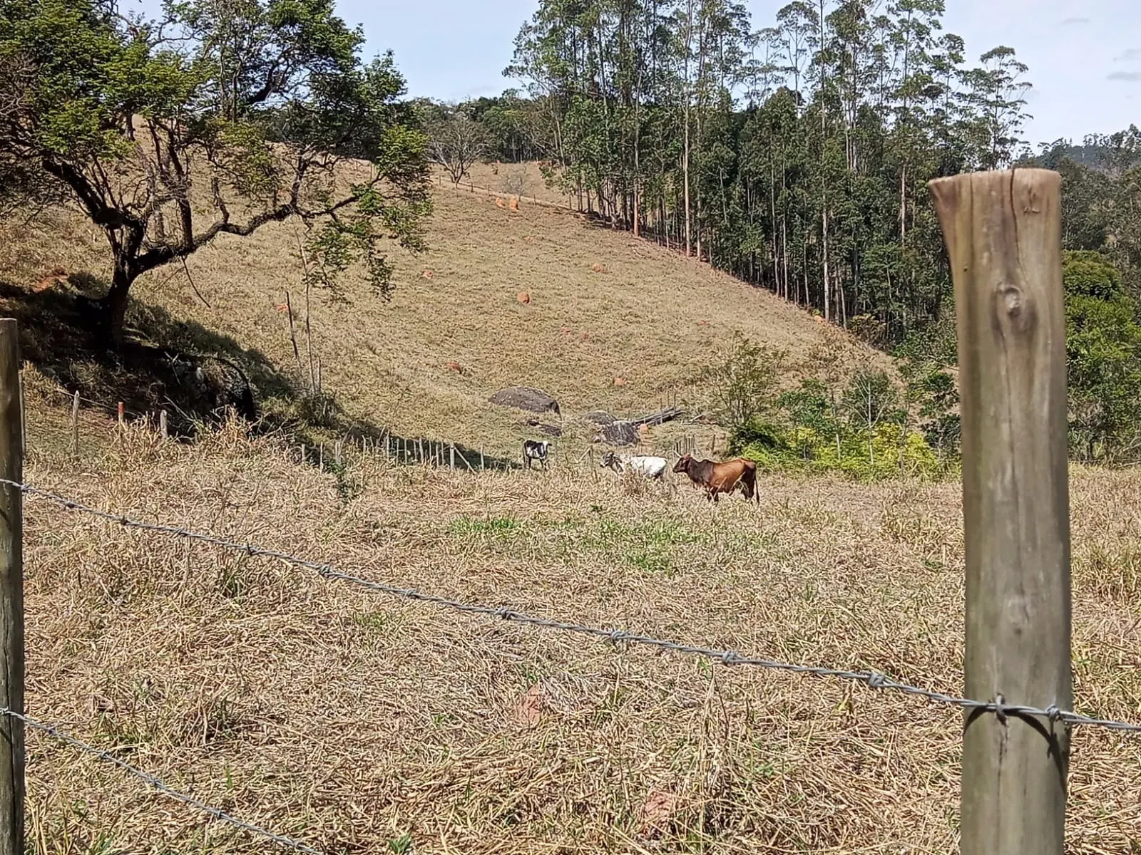 Sítio à venda de 10 ha em Paraibuna, SP, Brasil
