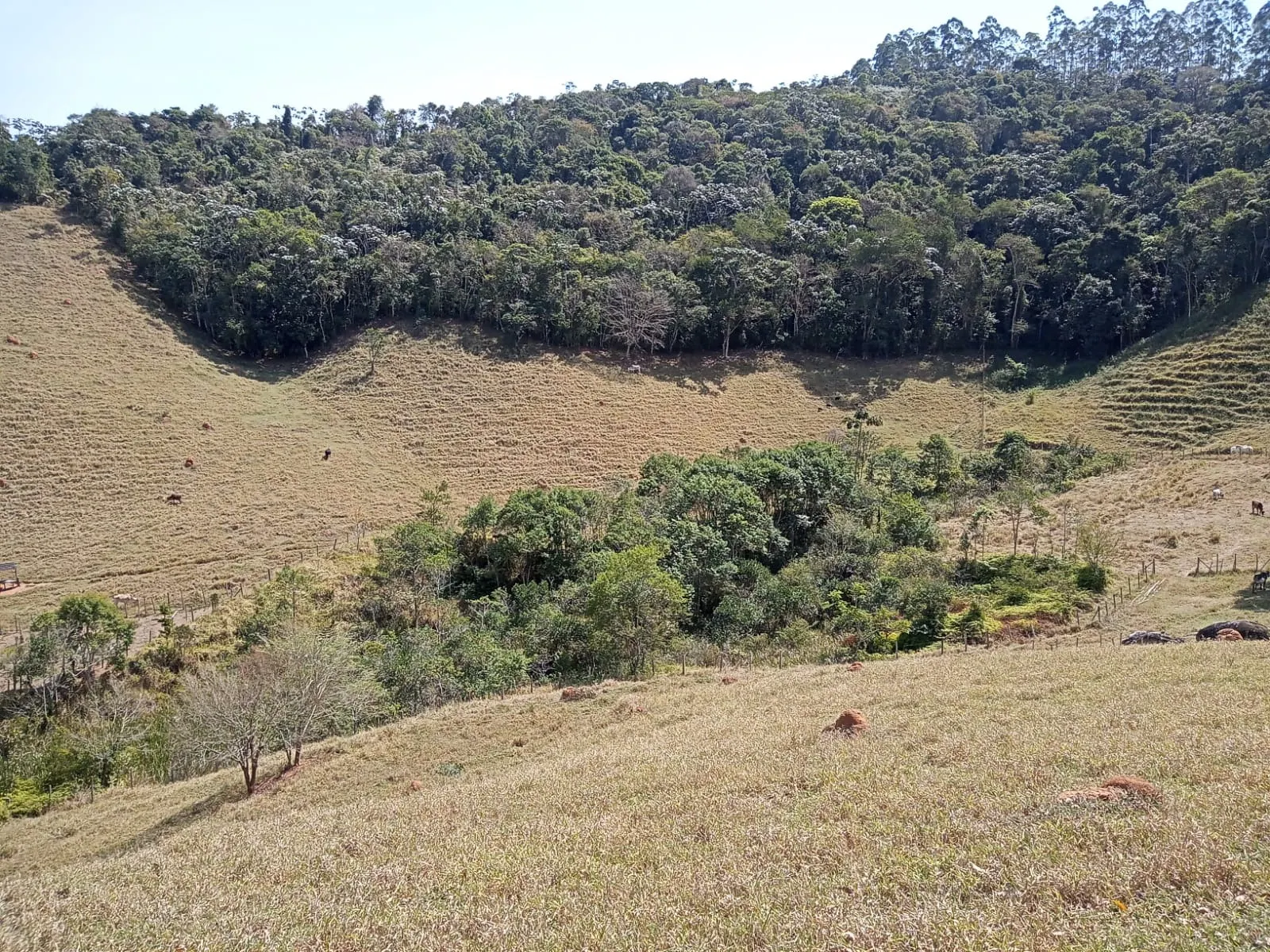 Sítio à venda de 10 ha em Paraibuna, SP, Brasil