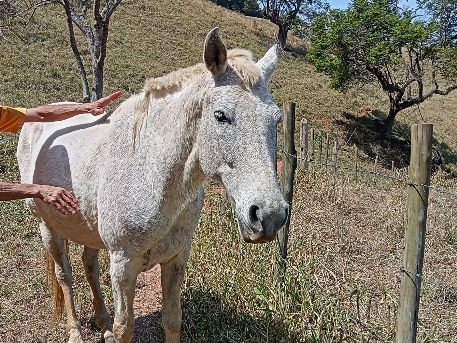 Sítio à venda de 10 ha em Paraibuna, SP, Brasil