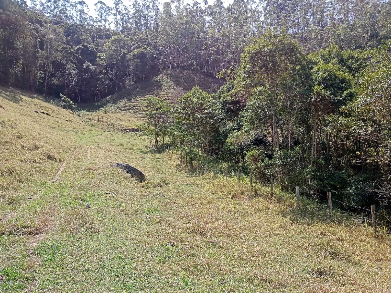 Sítio à venda de 10 ha em Paraibuna, SP, Brasil