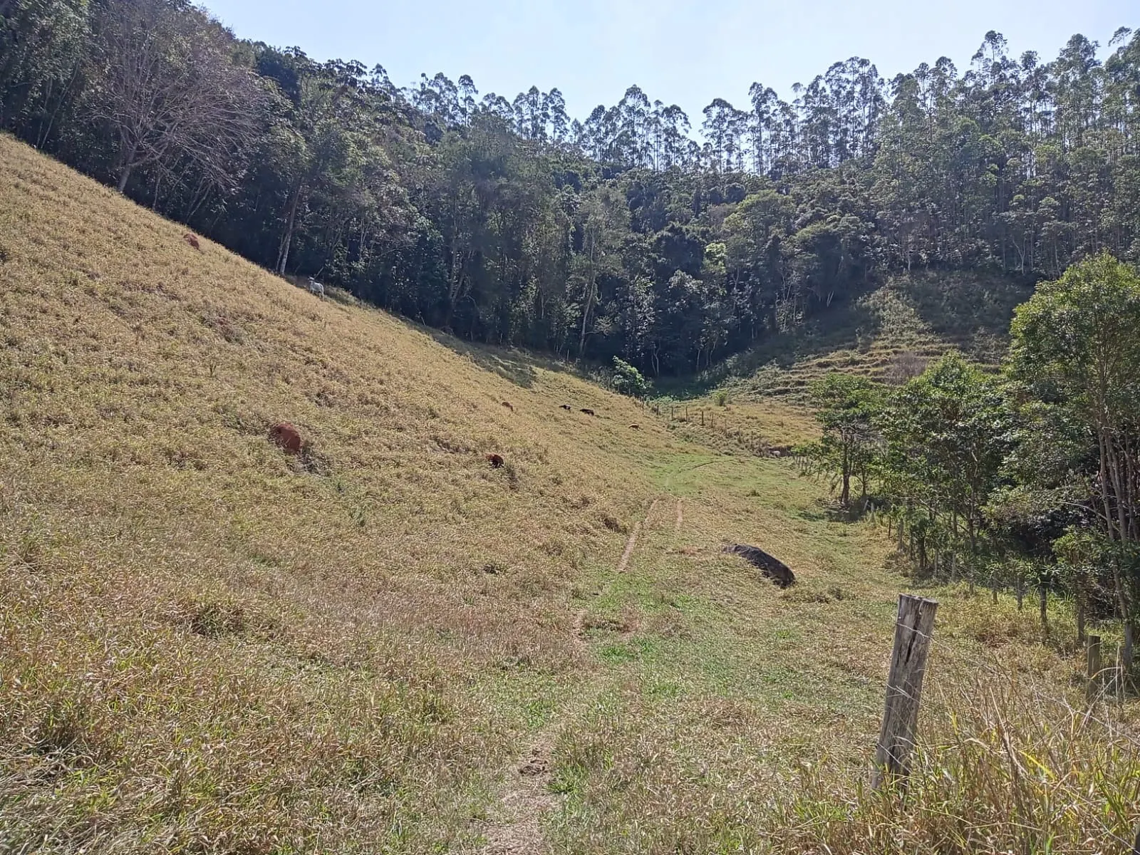 Sítio à venda de 10 ha em Paraibuna, SP, Brasil