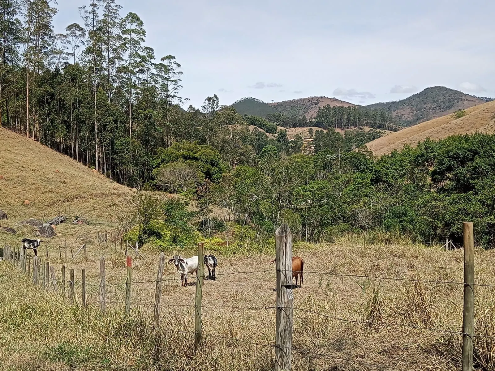 Sítio à venda de 10 ha em Paraibuna, SP, Brasil