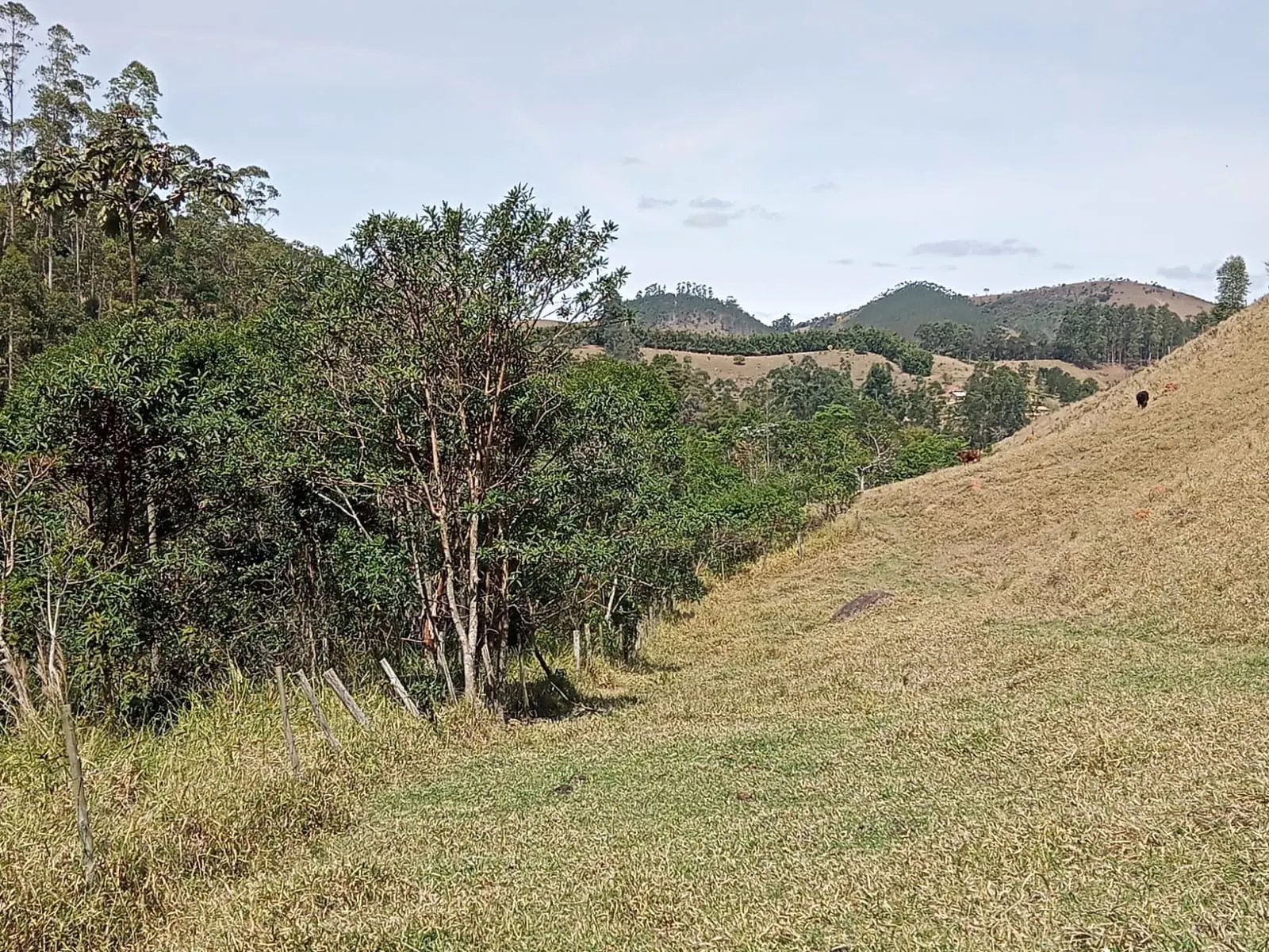 Sítio à venda de 10 ha em Paraibuna, SP, Brasil