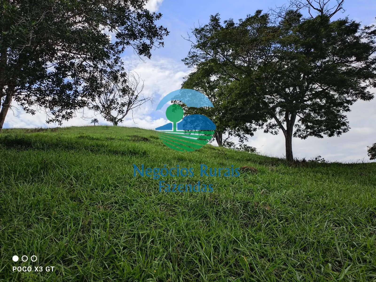 Sítio à venda de 67 ha em Abadiânia, GO, Brasil