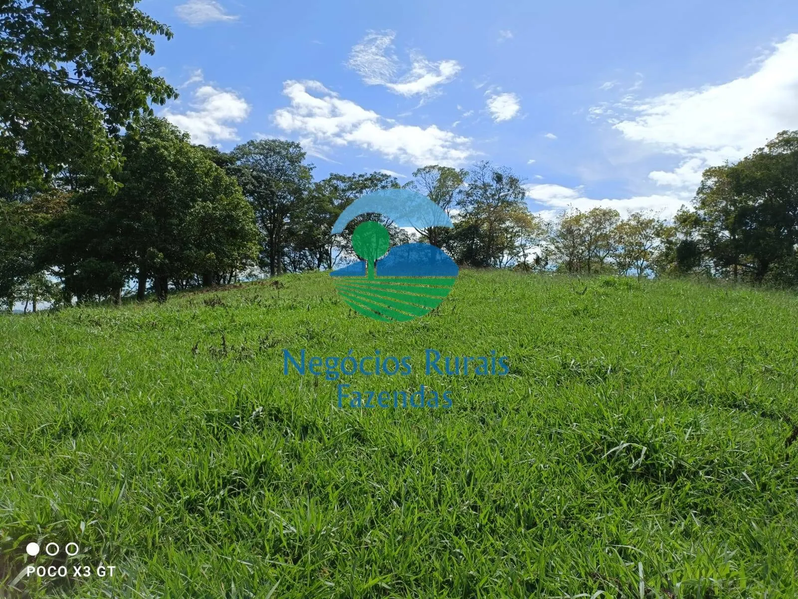 Sítio à venda de 67 ha em Abadiânia, GO, Brasil