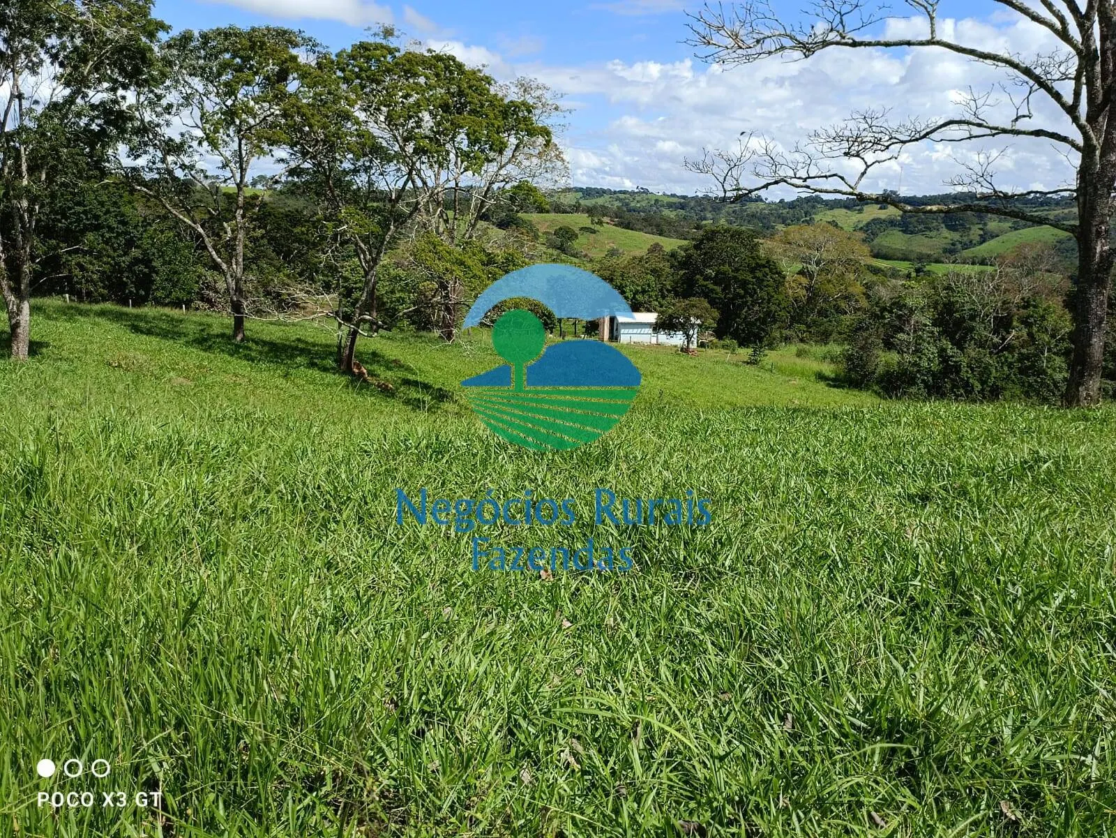 Sítio à venda de 67 ha em Abadiânia, GO, Brasil