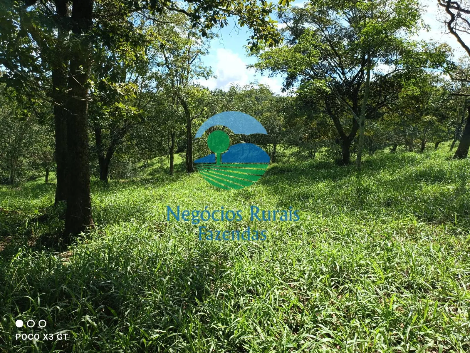 Sítio à venda de 67 ha em Abadiânia, GO, Brasil