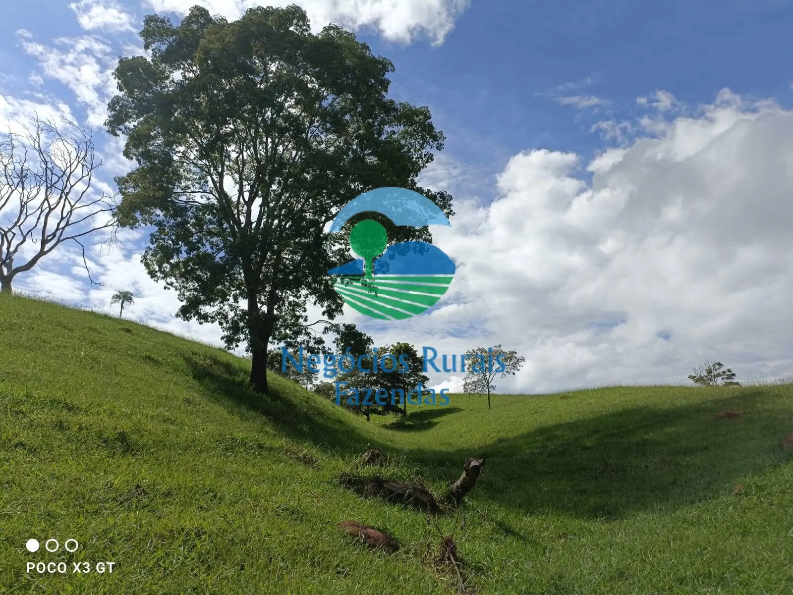 Sítio à venda de 67 ha em Abadiânia, GO, Brasil