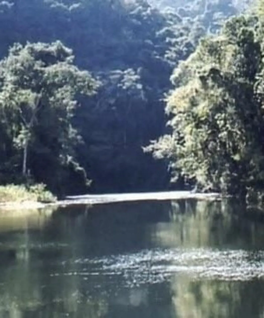 Fazenda à venda de 808 ha em Iporanga, SP, Brasil