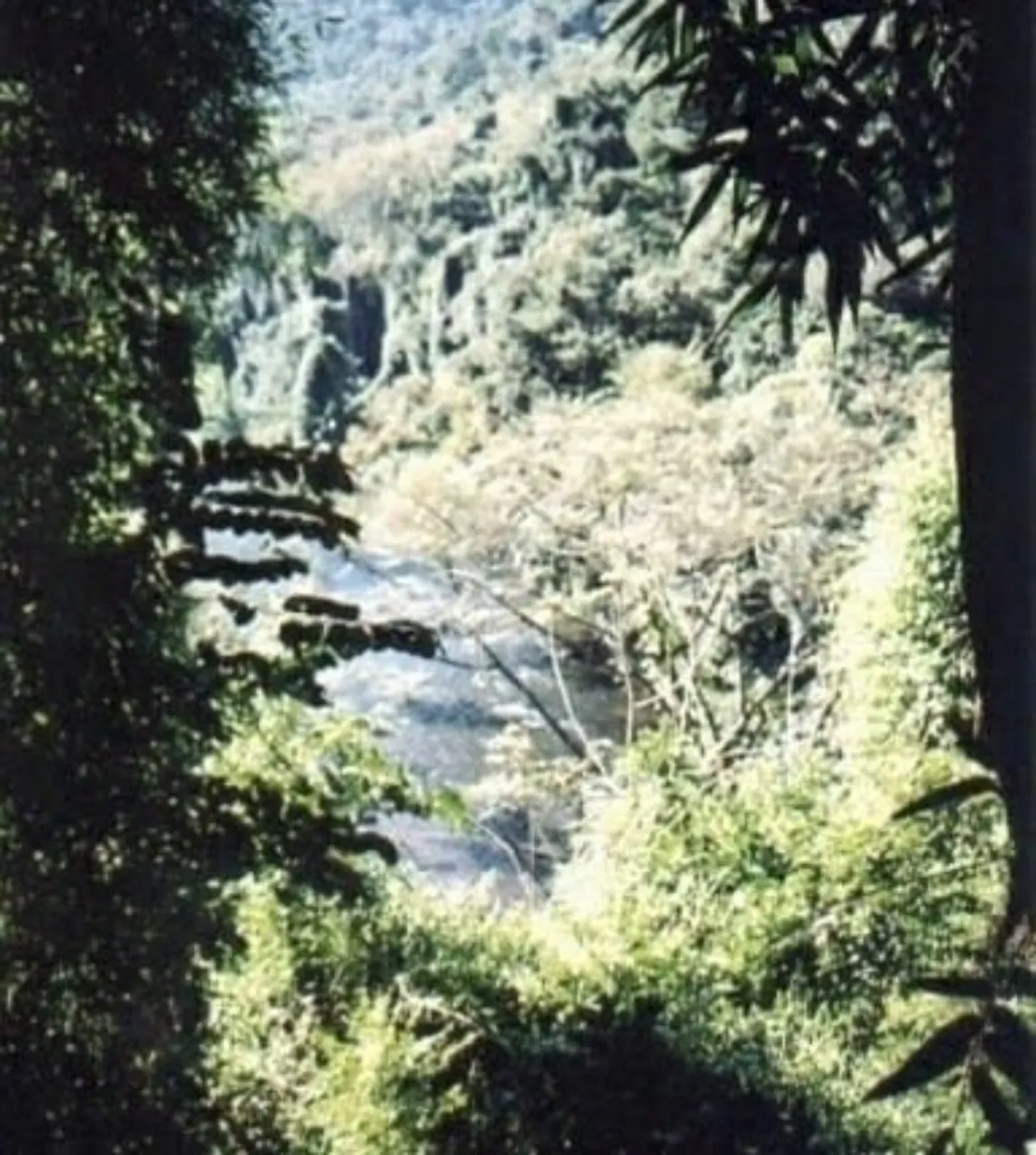 Fazenda à venda de 808 ha em Iporanga, SP, Brasil