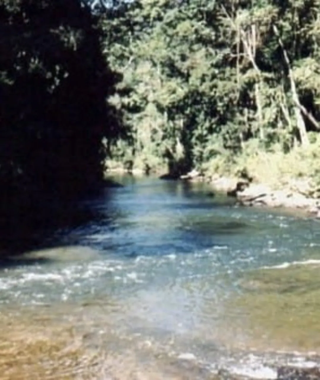 Fazenda à venda de 808 ha em Iporanga, SP, Brasil