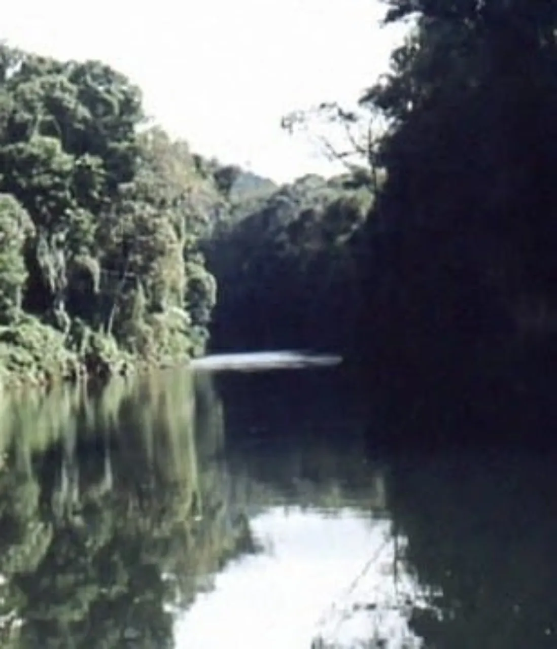Fazenda à venda de 808 ha em Iporanga, SP, Brasil
