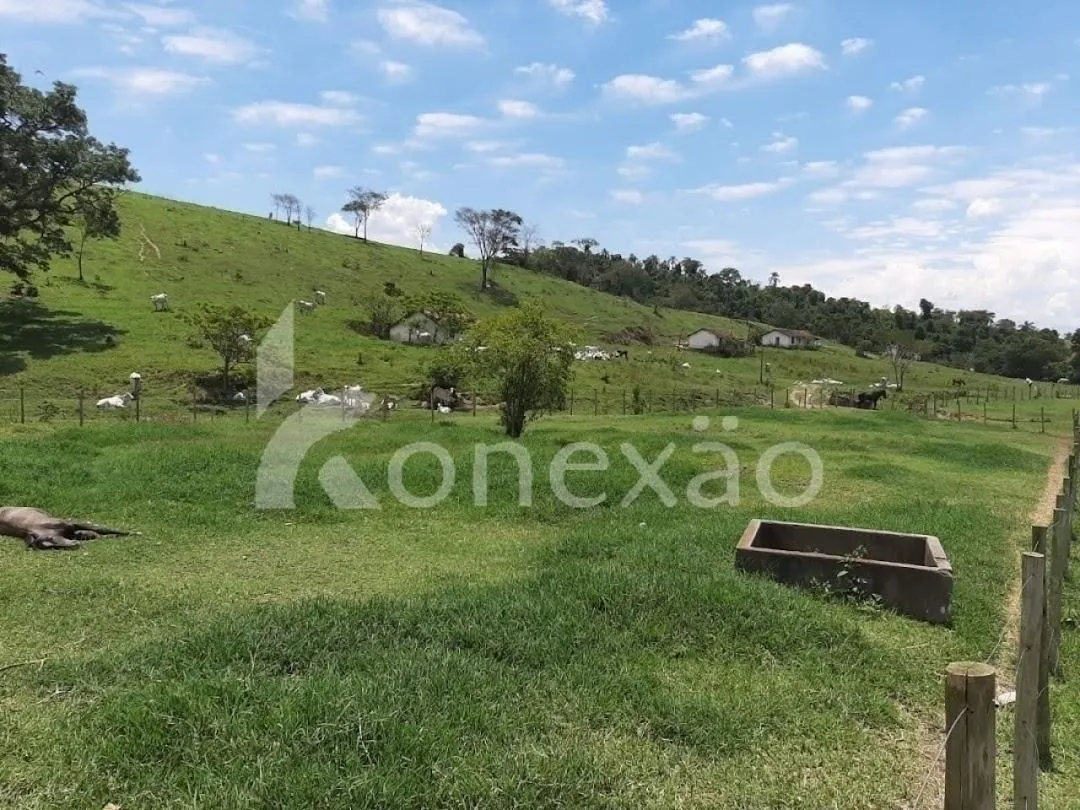 Fazenda à venda de 250 ha em Caçapava, SP, Brasil
