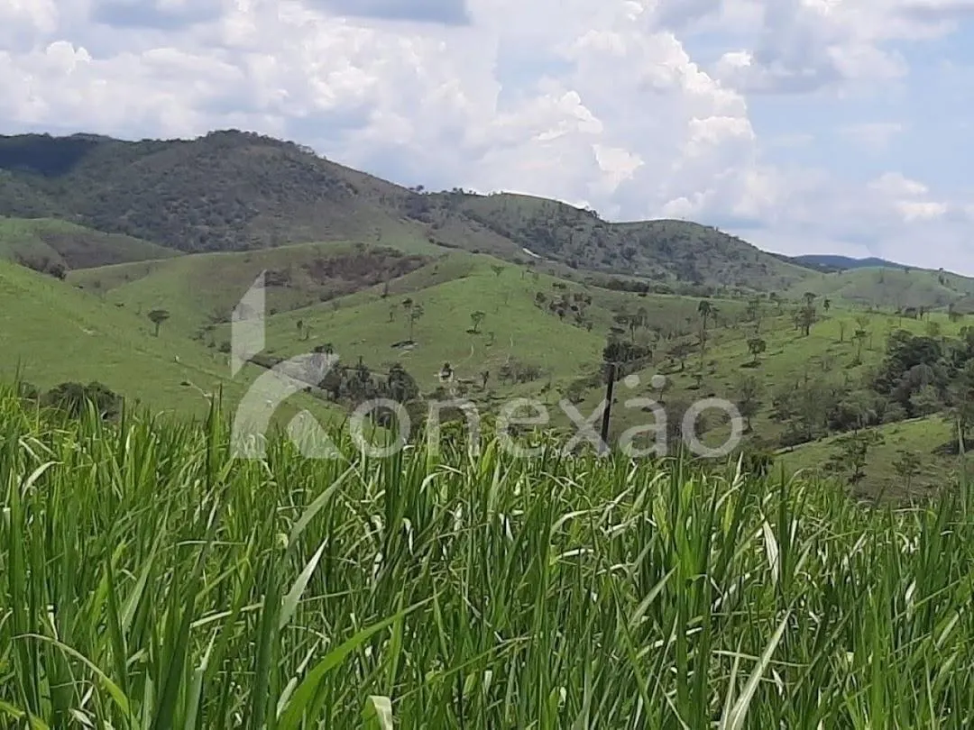 Fazenda à venda de 250 ha em Caçapava, SP, Brasil