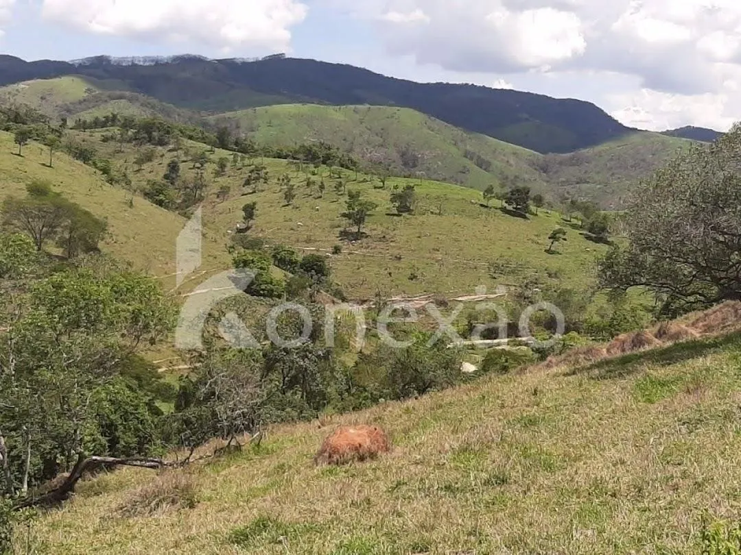 Fazenda à venda de 250 ha em Caçapava, SP, Brasil