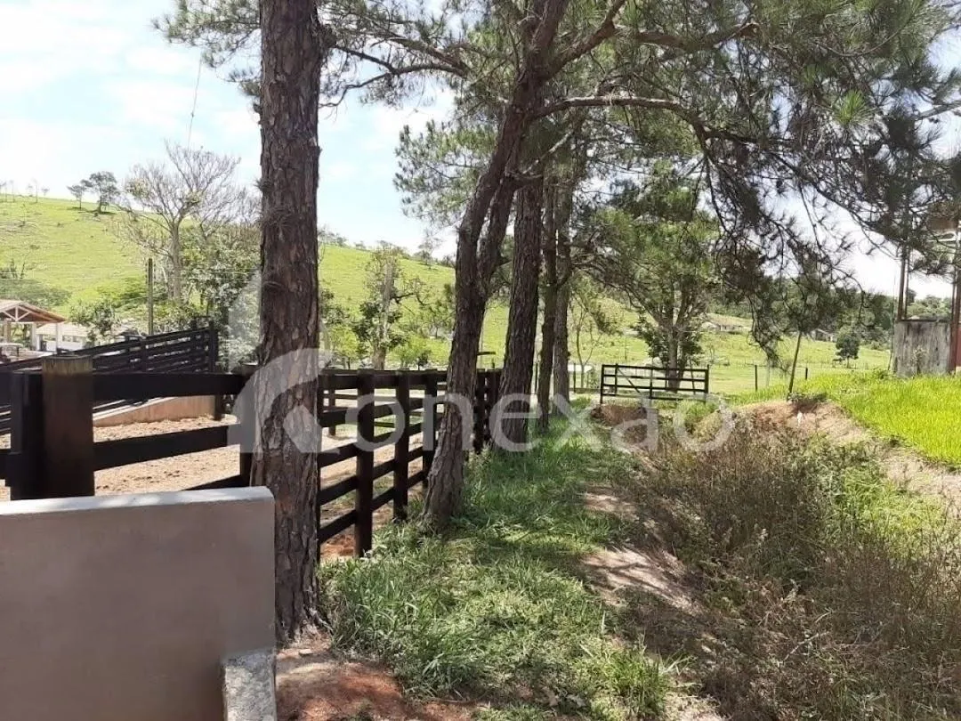 Fazenda à venda de 250 ha em Caçapava, SP, Brasil