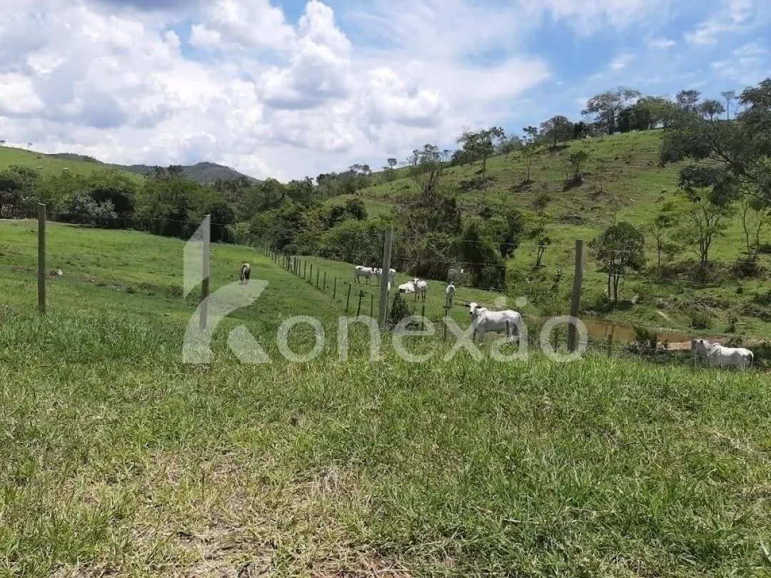 Fazenda à venda de 250 ha em Caçapava, SP, Brasil
