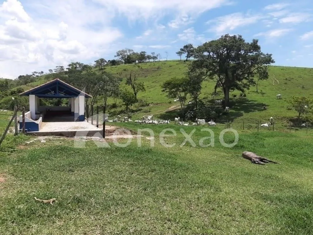 Fazenda à venda de 250 ha em Caçapava, SP, Brasil