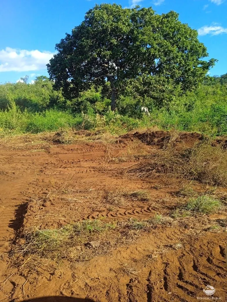 Fazenda à venda de 1.534 ha em Barro Alto, GO, Brasil