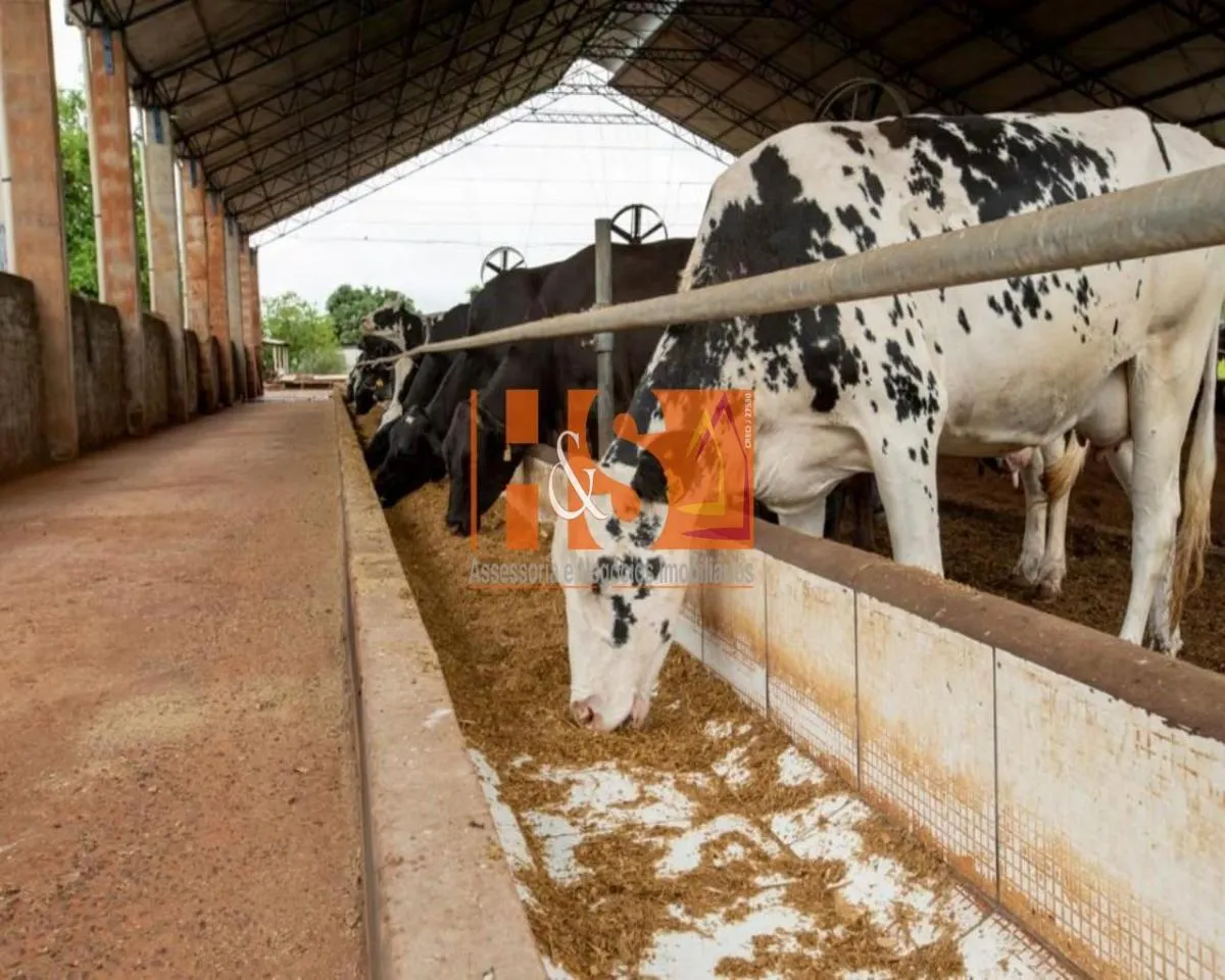 Farm for sale of 198 acres in Emilianópolis, SP, Brazil