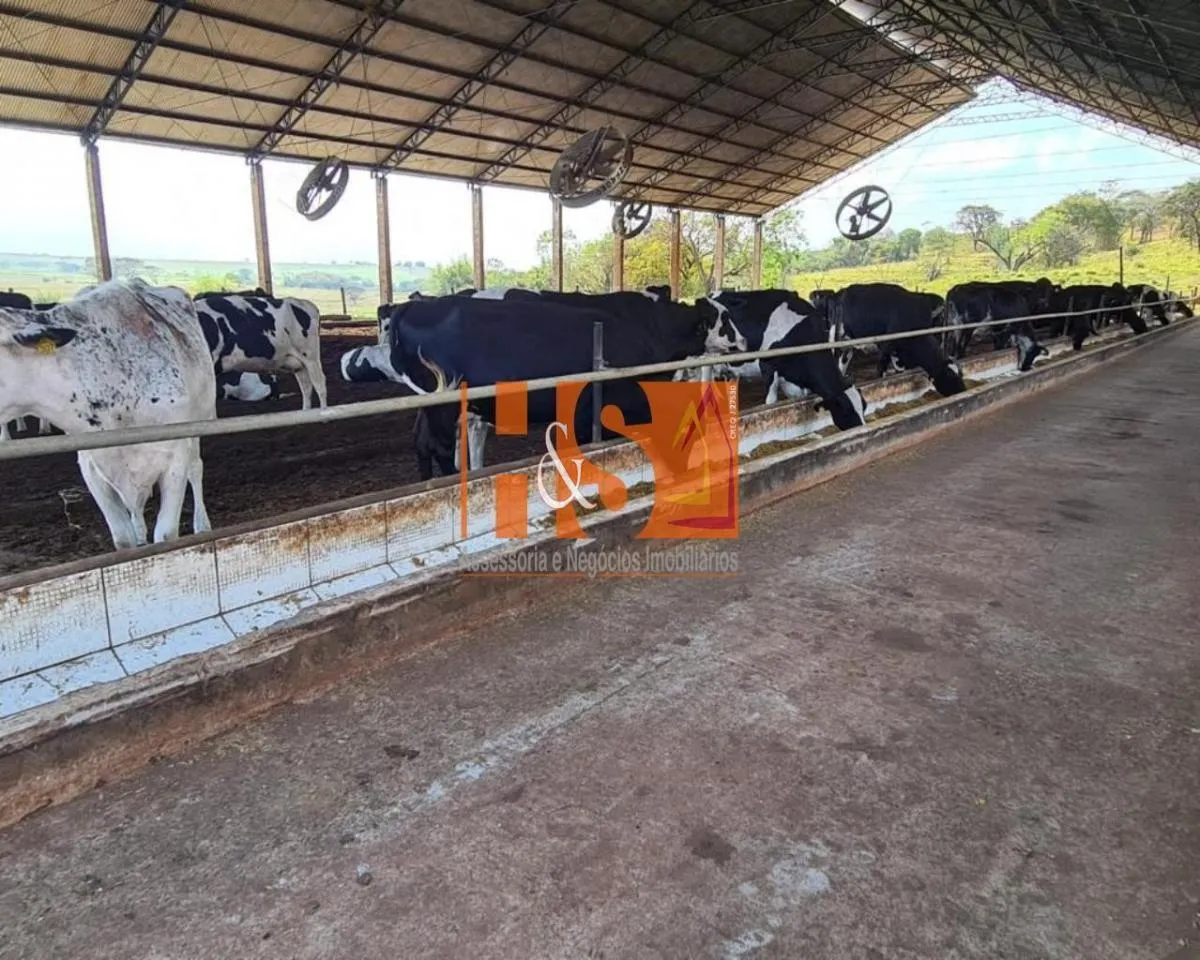 Farm for sale of 198 acres in Emilianópolis, SP, Brazil