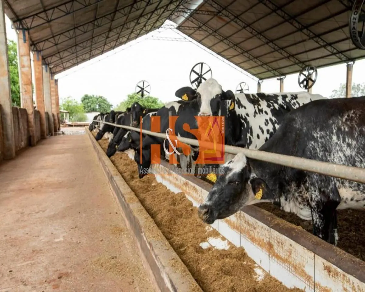 Farm for sale of 198 acres in Emilianópolis, SP, Brazil