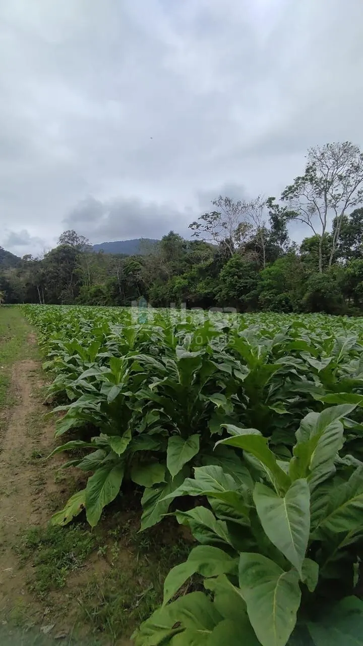 Country home for sale of 6 acres in São João Batista, SC, Brazil