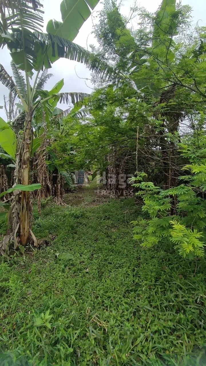 Country home for sale of 6 acres in São João Batista, SC, Brazil