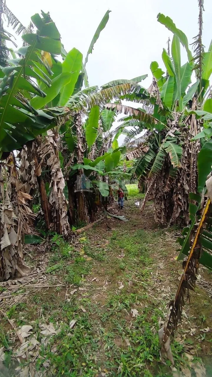 Country home for sale of 6 acres in São João Batista, SC, Brazil