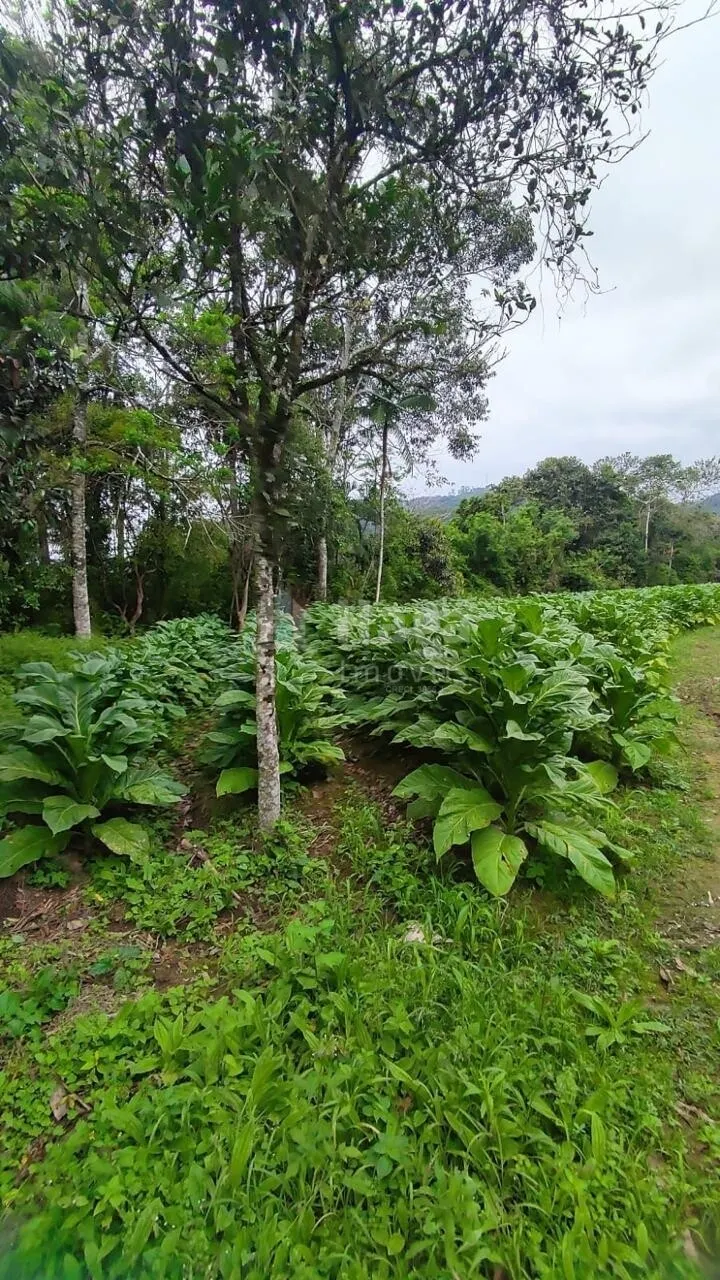 Country home for sale of 6 acres in São João Batista, SC, Brazil