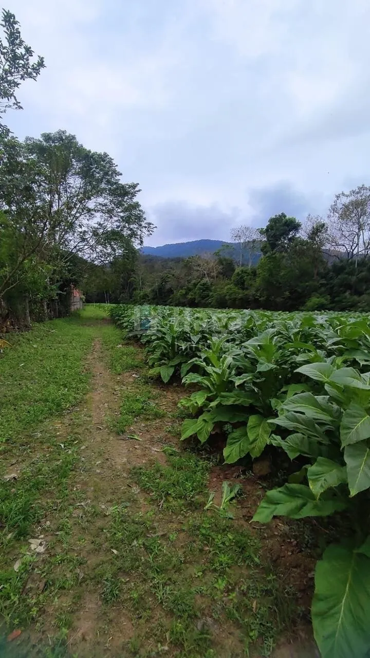 Country home for sale of 6 acres in São João Batista, SC, Brazil