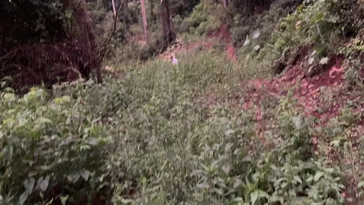 Country home for sale of 1,900 m² in Caraá, RS, Brazil