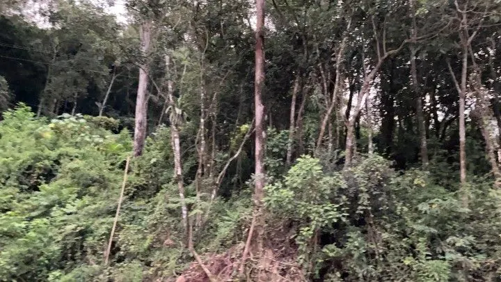 Country home for sale of 1,900 m² in Caraá, RS, Brazil
