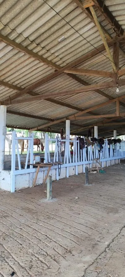 Small farm for sale of 104 acres in Itapetininga, SP, Brazil