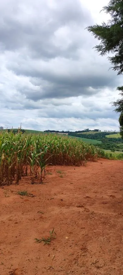 Small farm for sale of 104 acres in Itapetininga, SP, Brazil
