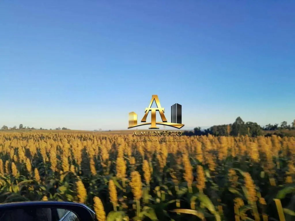 Fazenda à venda de 484 ha em Botucatu, SP, Brasil