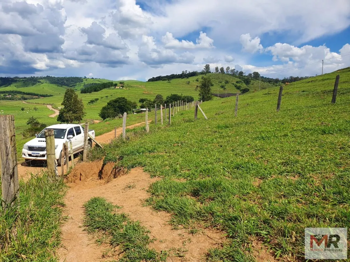 Fazenda à venda de 233 ha em Itajubá, MG, Brasil