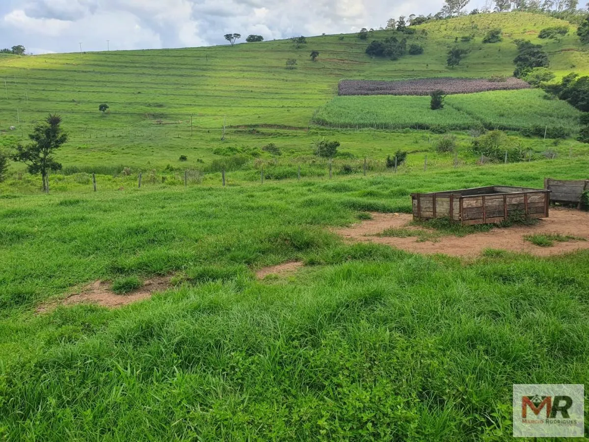 Fazenda à venda de 233 ha em Itajubá, MG, Brasil