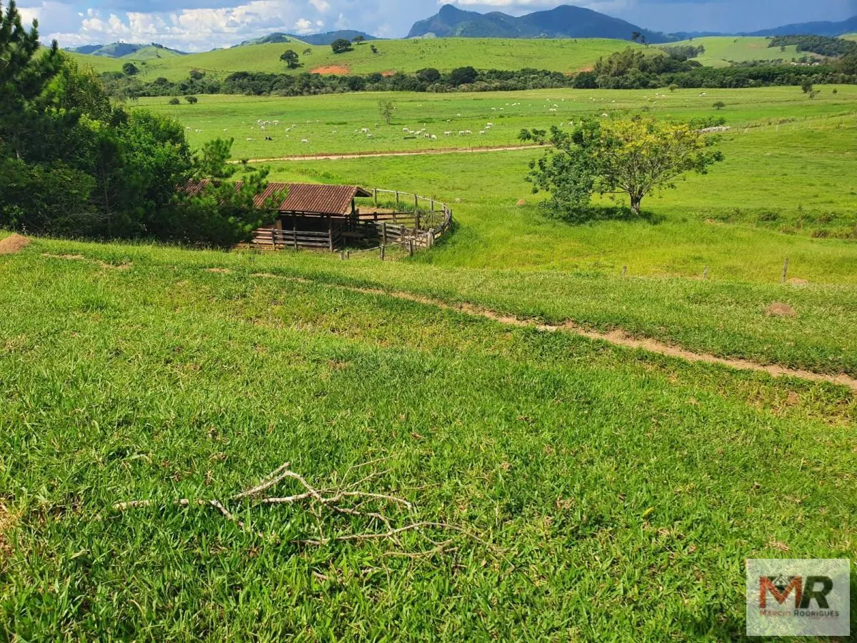 Fazenda à venda de 233 ha em Itajubá, MG, Brasil