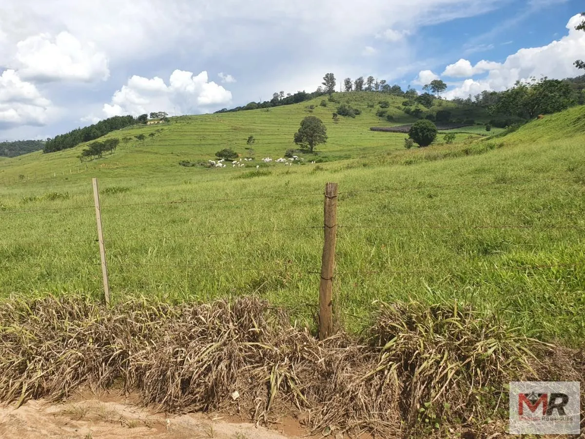 Fazenda à venda de 233 ha em Itajubá, MG, Brasil