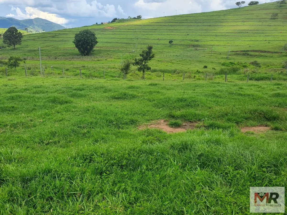 Fazenda à venda de 233 ha em Itajubá, MG, Brasil