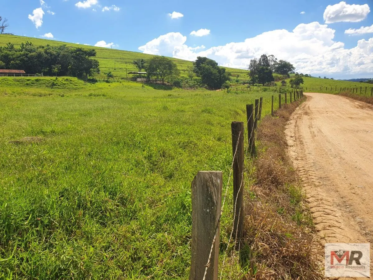 Fazenda à venda de 233 ha em Itajubá, MG, Brasil
