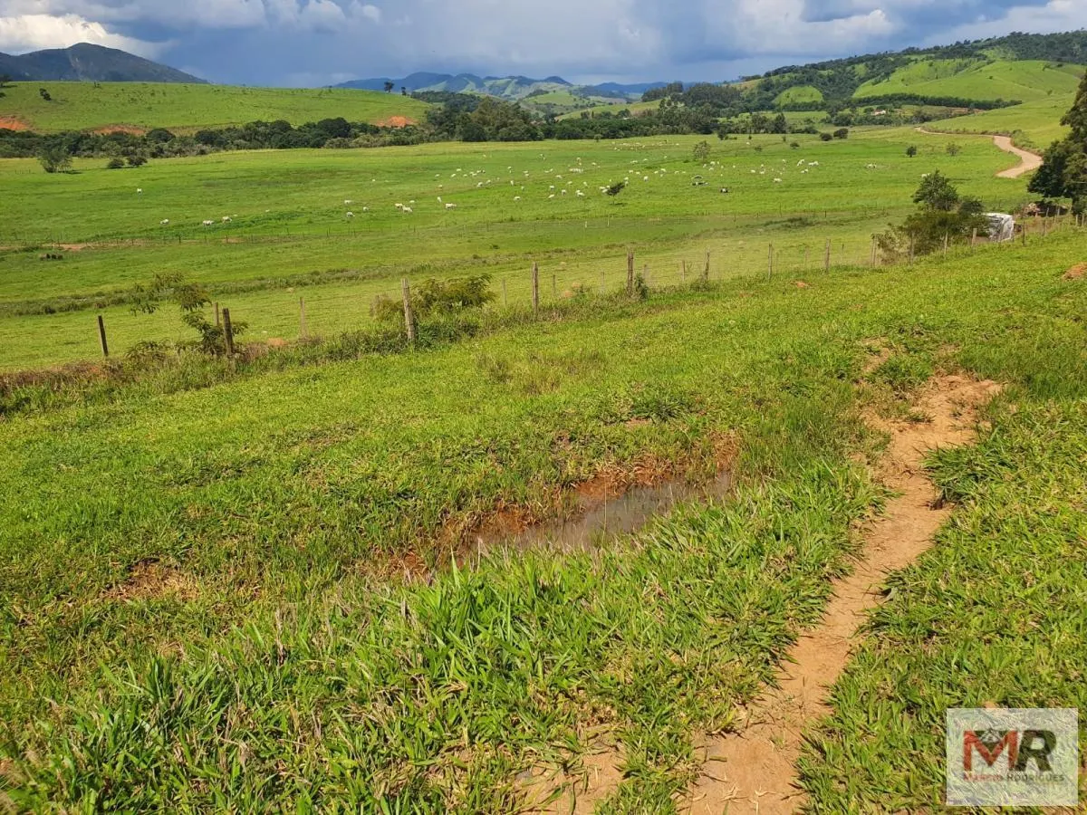 Fazenda à venda de 233 ha em Itajubá, MG, Brasil