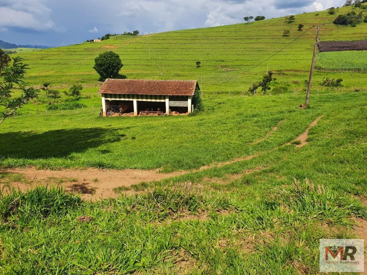Fazenda à venda de 233 ha em Itajubá, MG, Brasil