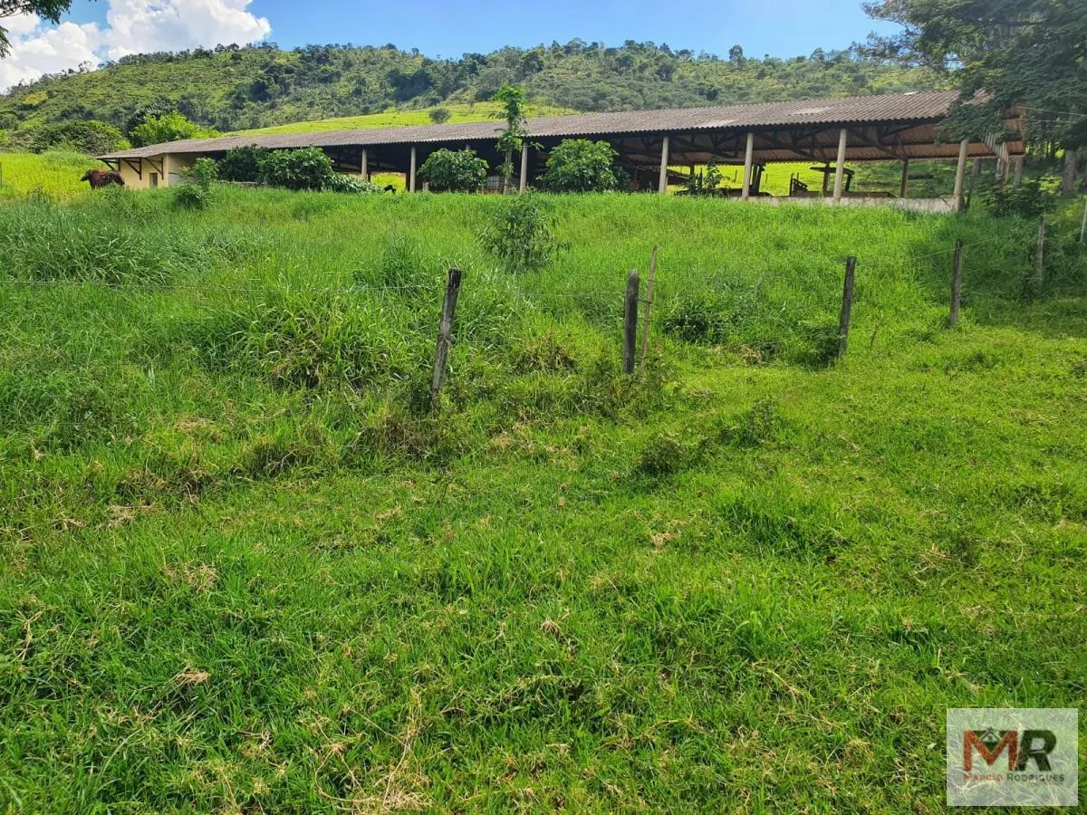 Fazenda à venda de 233 ha em Itajubá, MG, Brasil