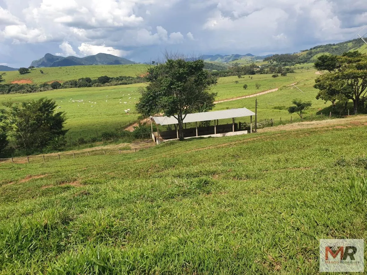 Fazenda à venda de 233 ha em Itajubá, MG, Brasil
