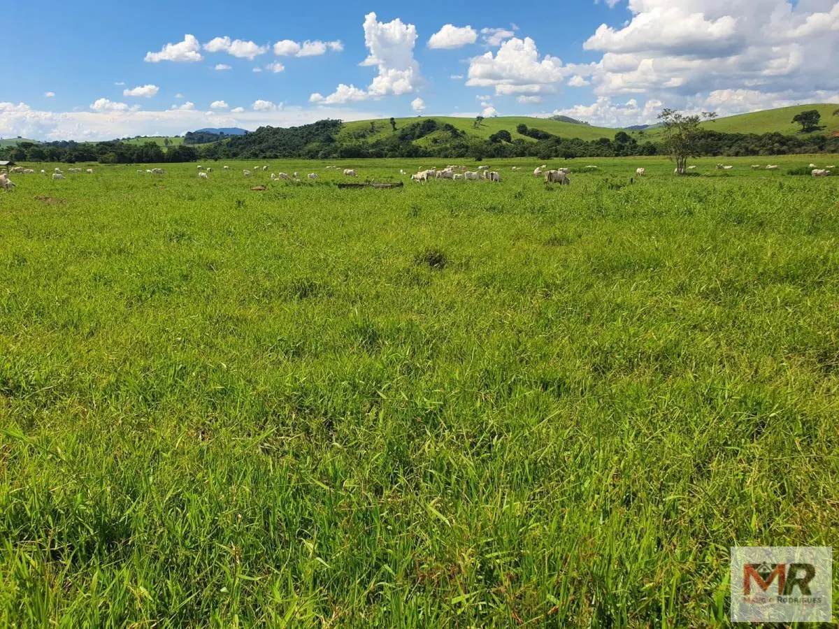 Fazenda à venda de 233 ha em Itajubá, MG, Brasil