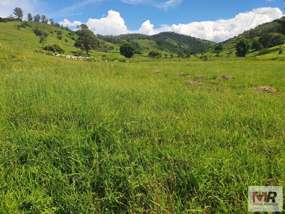 Fazenda à venda de 233 ha em Itajubá, MG, Brasil